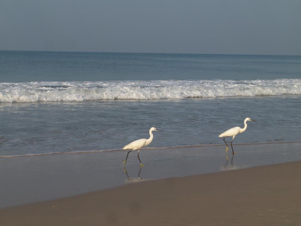 Oceanic Beach Residency Varkala Zewnętrze zdjęcie